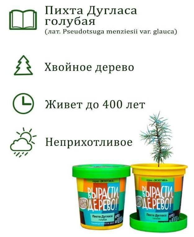 набор