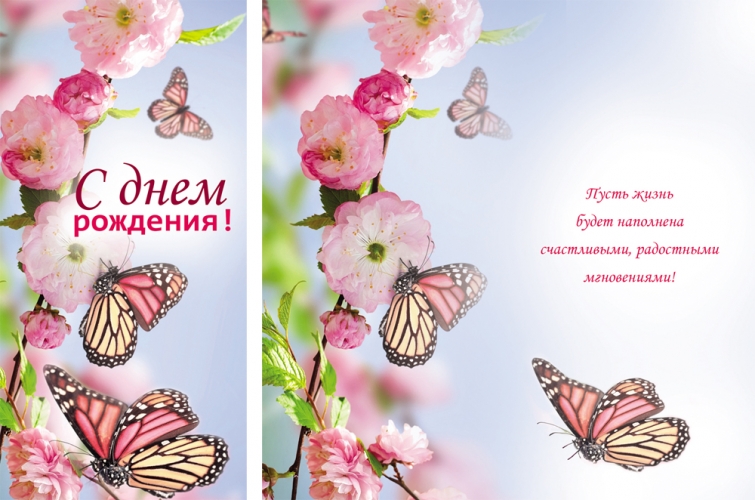 Яйца понюхал, открытки с днем рождения с цветами и бабочками