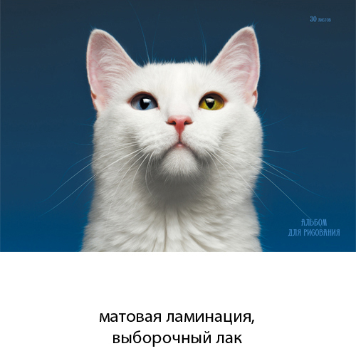 альбом
