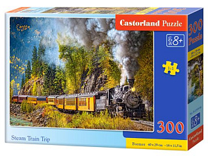 пазлы 300 290*400 поезд в горах b7-030446 /cl
