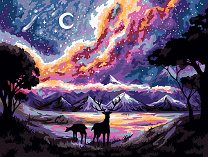 набор для раскраска по номерам 30*40 волшебство ночи цветной холст pnb/pmc-220 /фрея