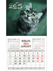 календарь магнитный 93*163  яркие глаза км-9560 /пп