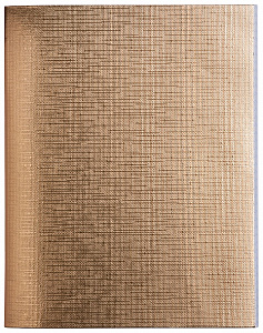 тетрадь 48л клетка бумвинил metallic, золото 48т5бвв1 059231 /hatber