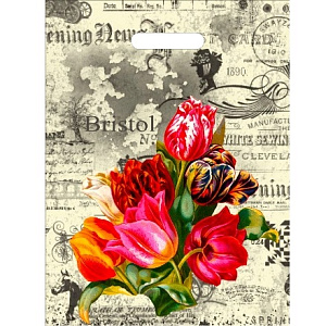 пакет 30*40 бристоль, прорубной, /инт фото